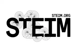 Steim logo