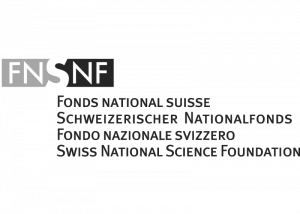 fns logo
